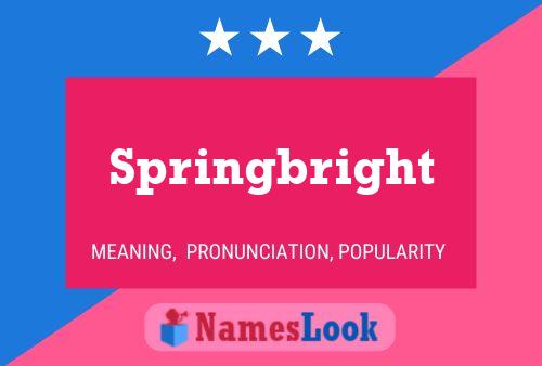 Springbright 名字海报