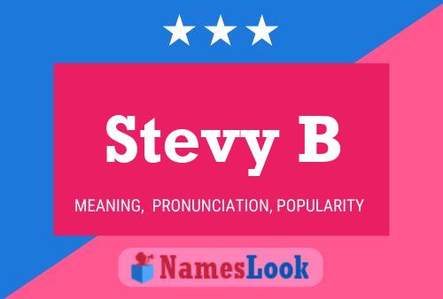 Stevy B 名字海报