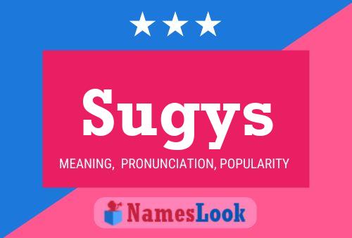 Sugys 名字海报