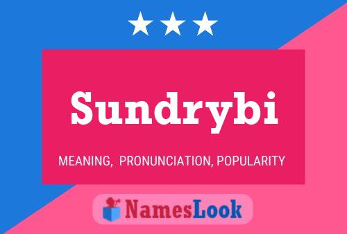 Sundrybi 名字海报