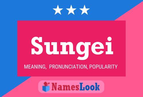 Sungei 名字海报