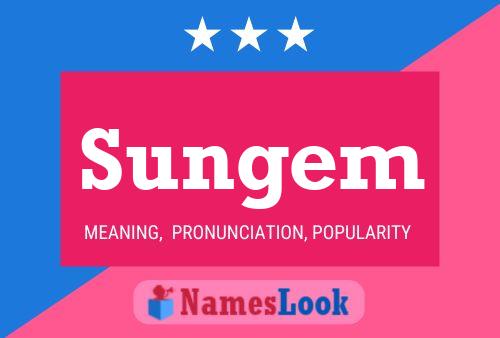 Sungem 名字海报