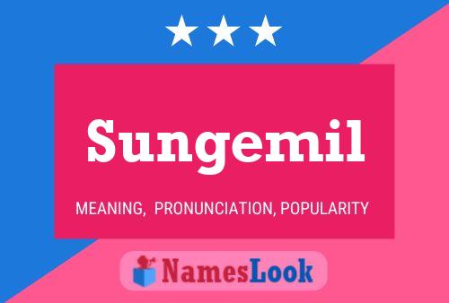 Sungemil 名字海报