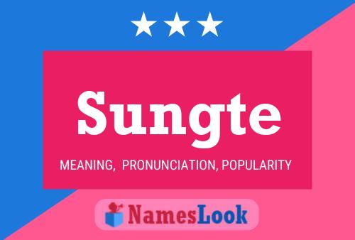 Sungte 名字海报