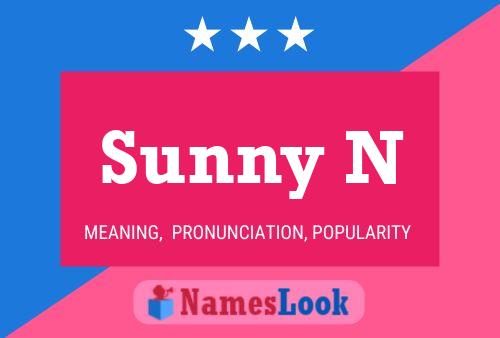 Sunny N 名字海报