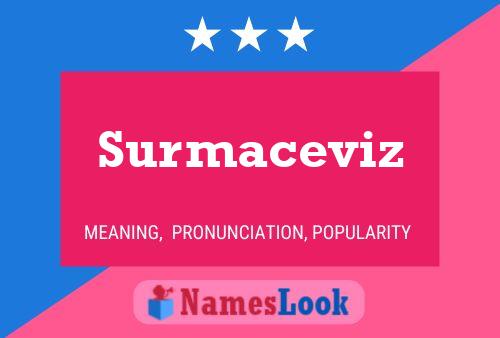 Surmaceviz 名字海报