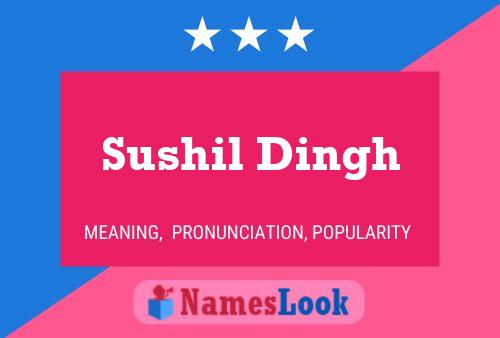 Sushil Dingh 名字海报