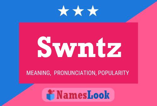 Swntz 名字海报