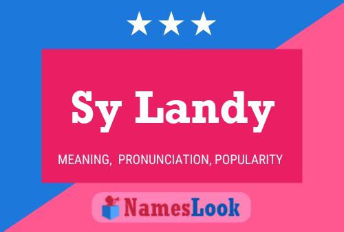 Sy Landy 名字海报