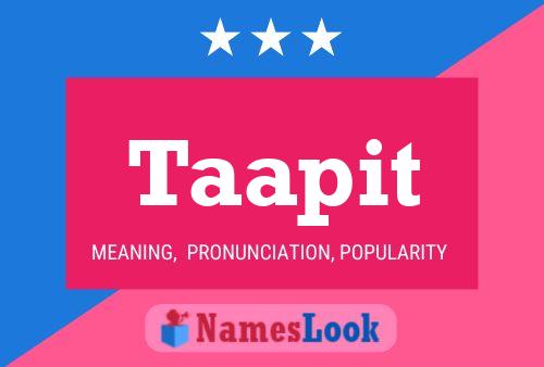 Taapit 名字海报