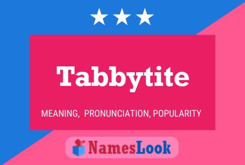 Tabbytite 名字海报