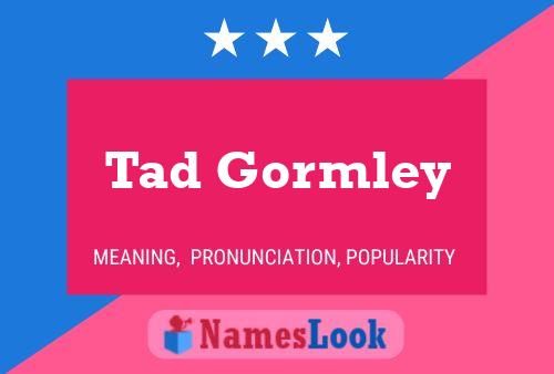 Tad Gormley 名字海报