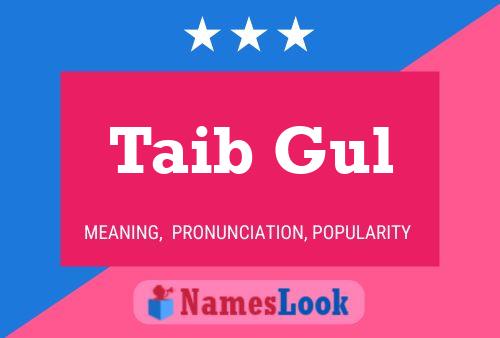 Taib Gul 名字海报