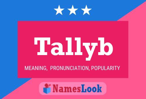 Tallyb 名字海报