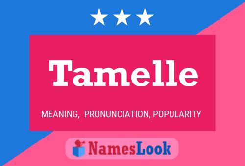 Tamelle 名字海报