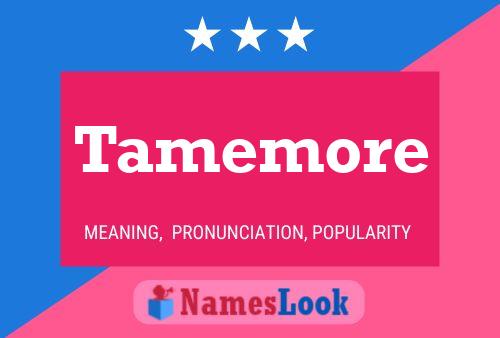 Tamemore 名字海报