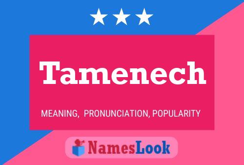 Tamenech 名字海报