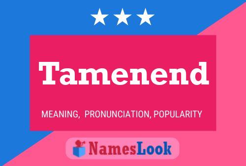 Tamenend 名字海报