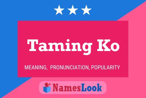 Taming Ko 名字海报