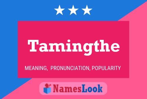 Tamingthe 名字海报