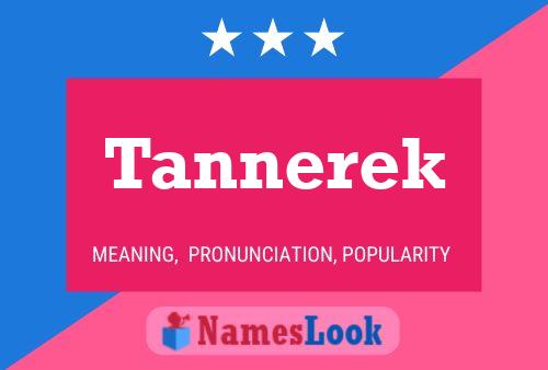 Tannerek 名字海报