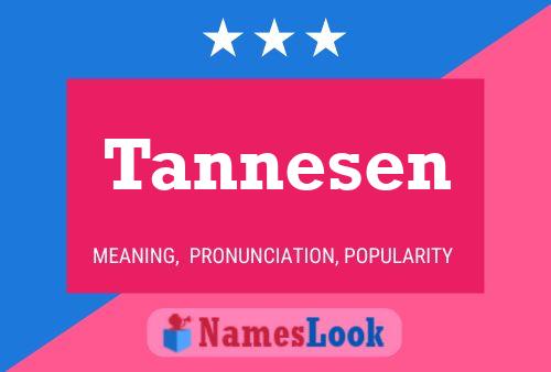 Tannesen 名字海报