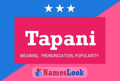 Tapani 名字海报