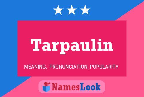 Tarpaulin 名字海报