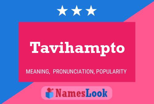 Tavihampto 名字海报