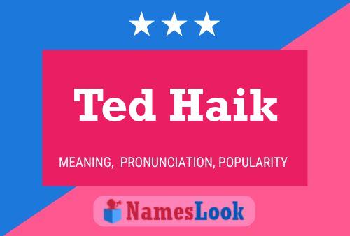 Ted Haik 名字海报