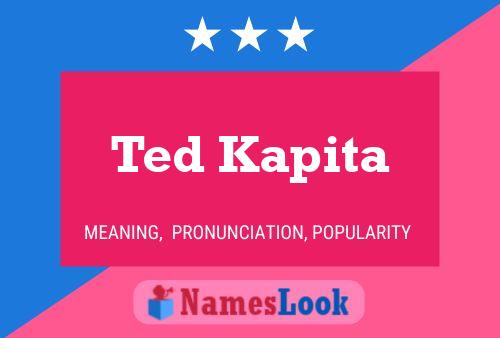 Ted Kapita 名字海报