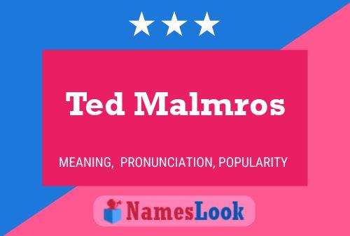 Ted Malmros 名字海报