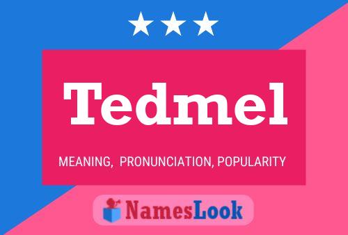 Tedmel 名字海报