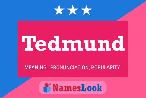 Tedmund 名字海报