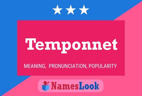 Temponnet 名字海报