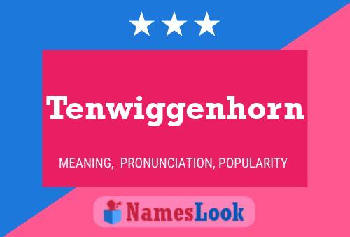 Tenwiggenhorn 名字海报