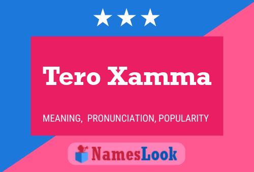 Tero Xamma 名字海报