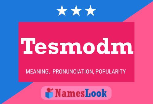 Tesmodm 名字海报