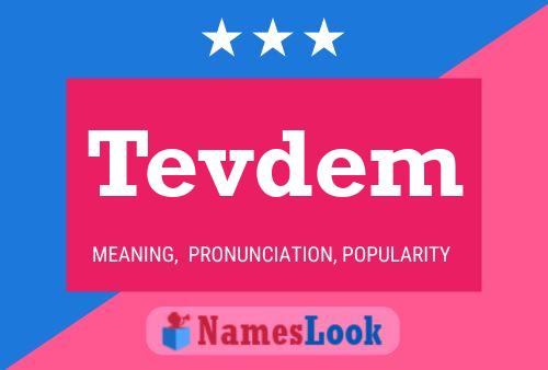 Tevdem 名字海报