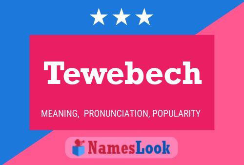 Tewebech 名字海报