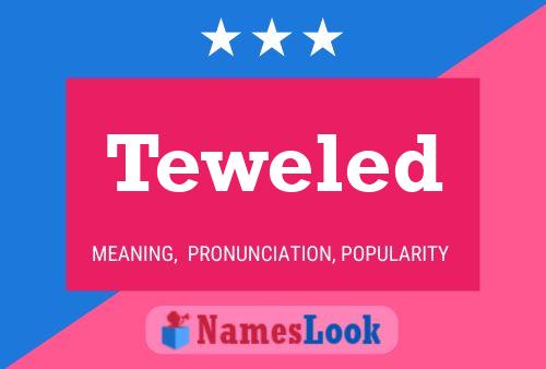 Teweled 名字海报