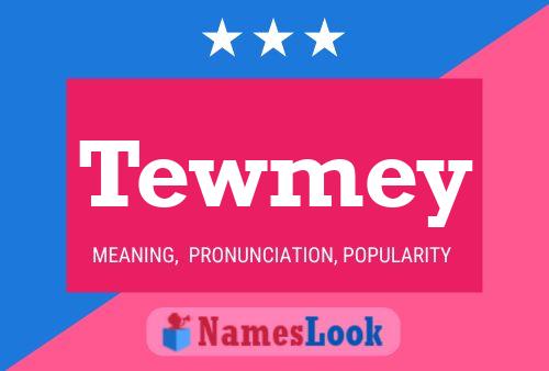 Tewmey 名字海报