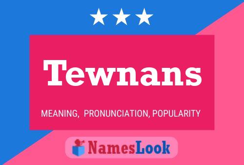 Tewnans 名字海报