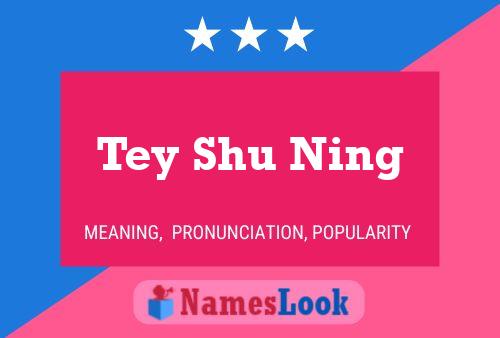 Tey Shu Ning 名字海报