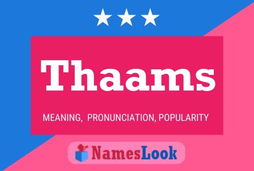 Thaams 名字海报