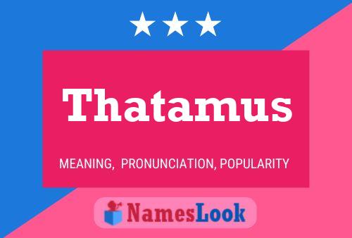 Thatamus 名字海报