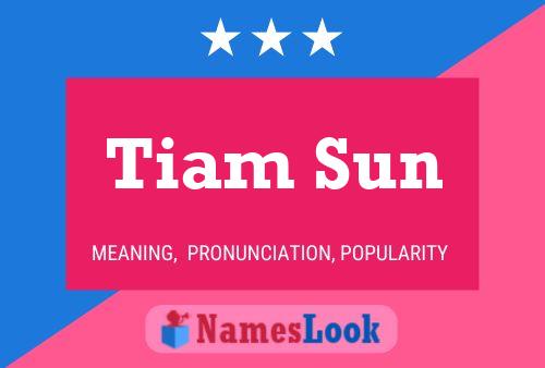 Tiam Sun 名字海报