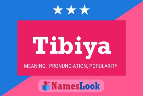 Tibiya 名字海报