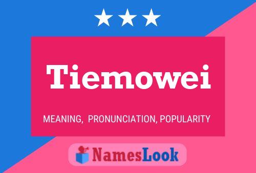 Tiemowei 名字海报