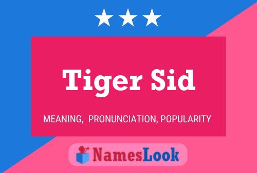 Tiger Sid 名字海报